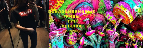 прущий лед Армянск