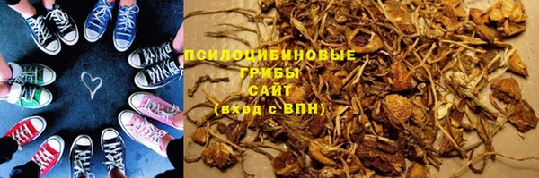 дмт Аркадак